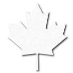 White Maple Leaf